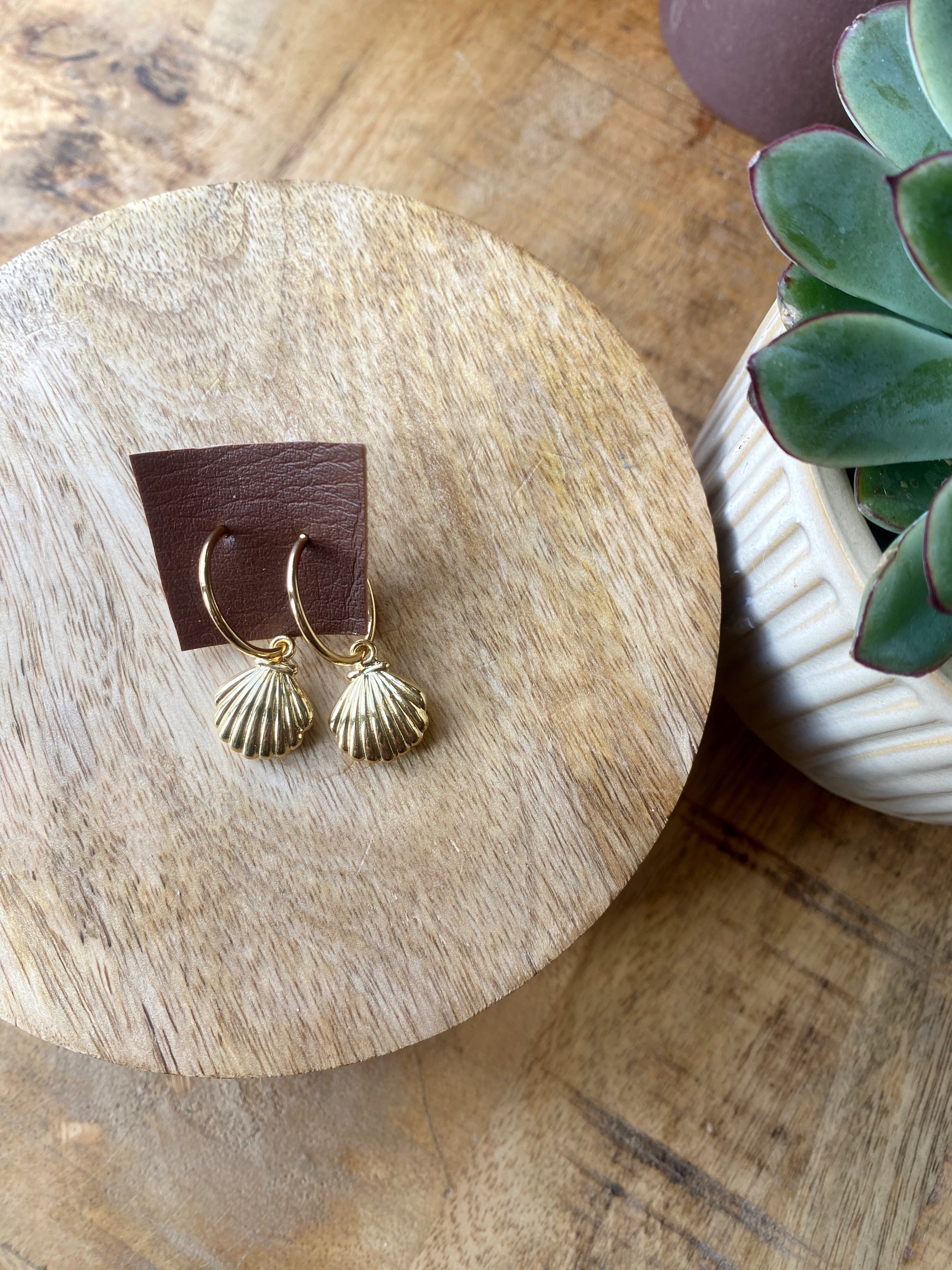 Goldene Muschel Creolen