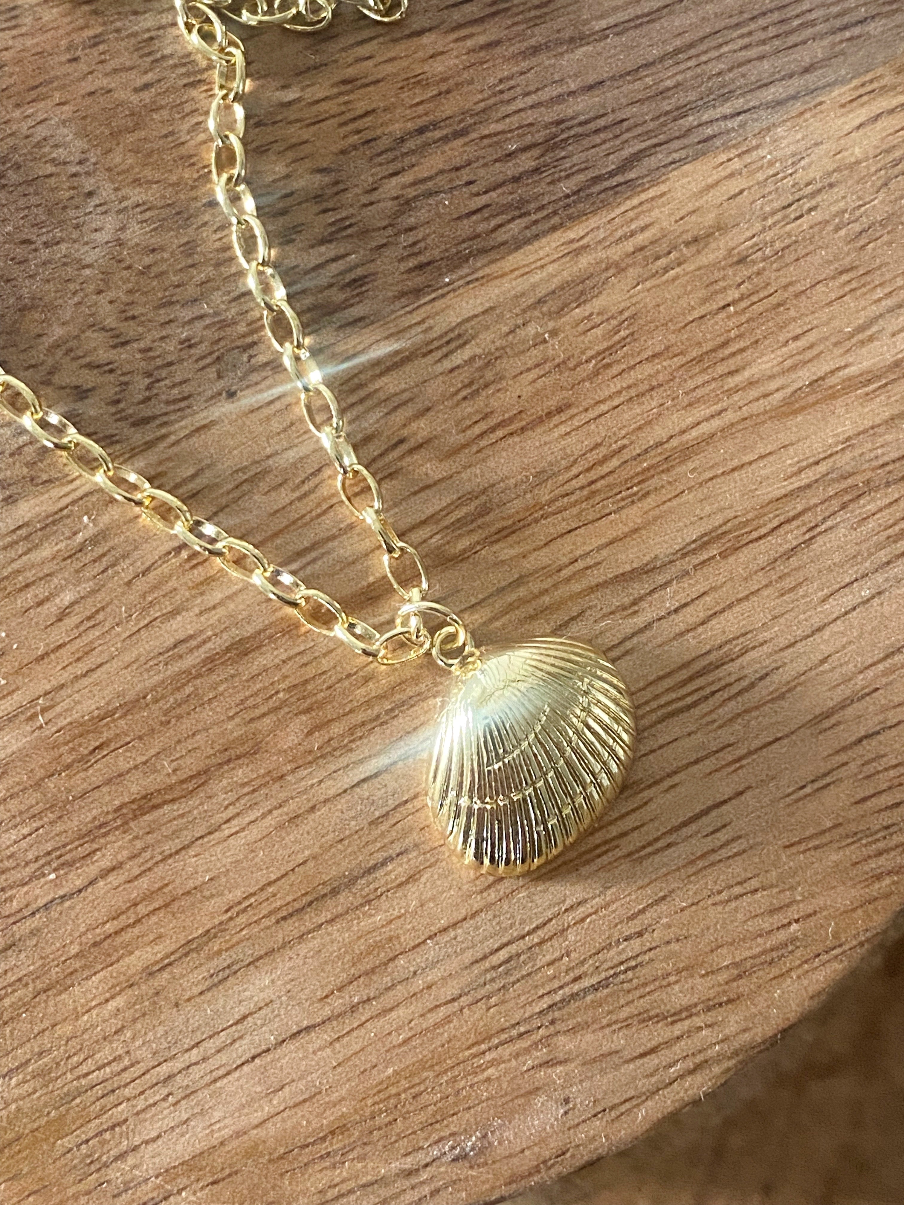 Muschel Kette